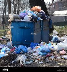 Best Hoarding Cleanup  in Trion, GA