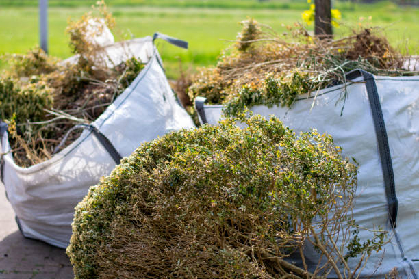 Best Electronics and E-Waste Disposal  in Trion, GA